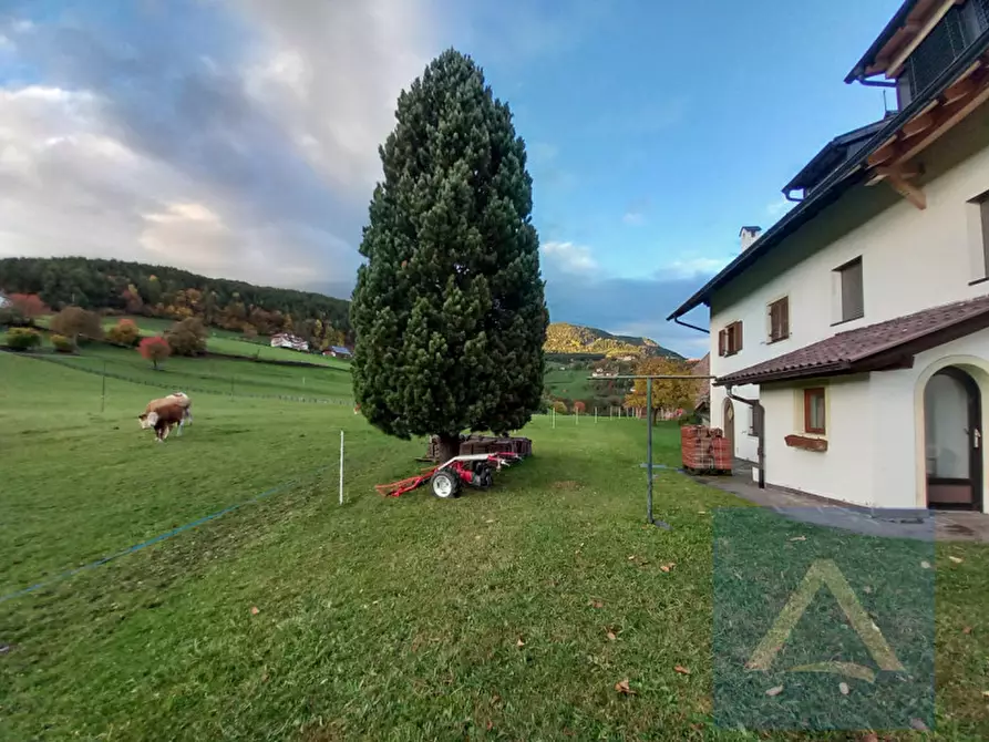 Immagine 3 di Appartamento in vendita  in via mittelberg 7 a Renon .Ritten.