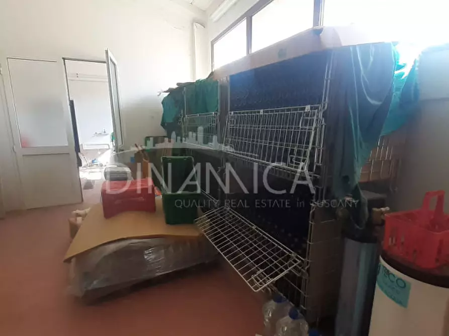 Immagine 42 di Rustico / casale in vendita  a Casciana Terme Lari