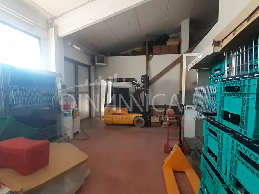 Immagine 43 di Rustico / casale in vendita  a Casciana Terme Lari