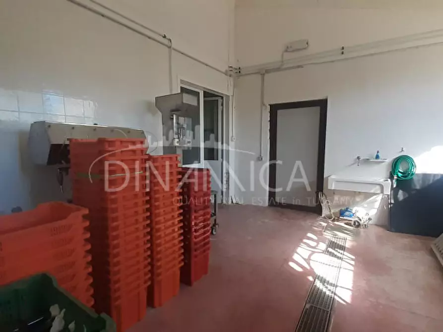 Immagine 44 di Rustico / casale in vendita  a Casciana Terme Lari