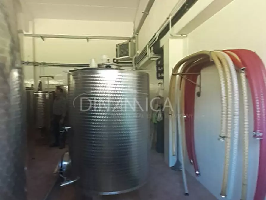 Immagine 45 di Rustico / casale in vendita  a Casciana Terme Lari