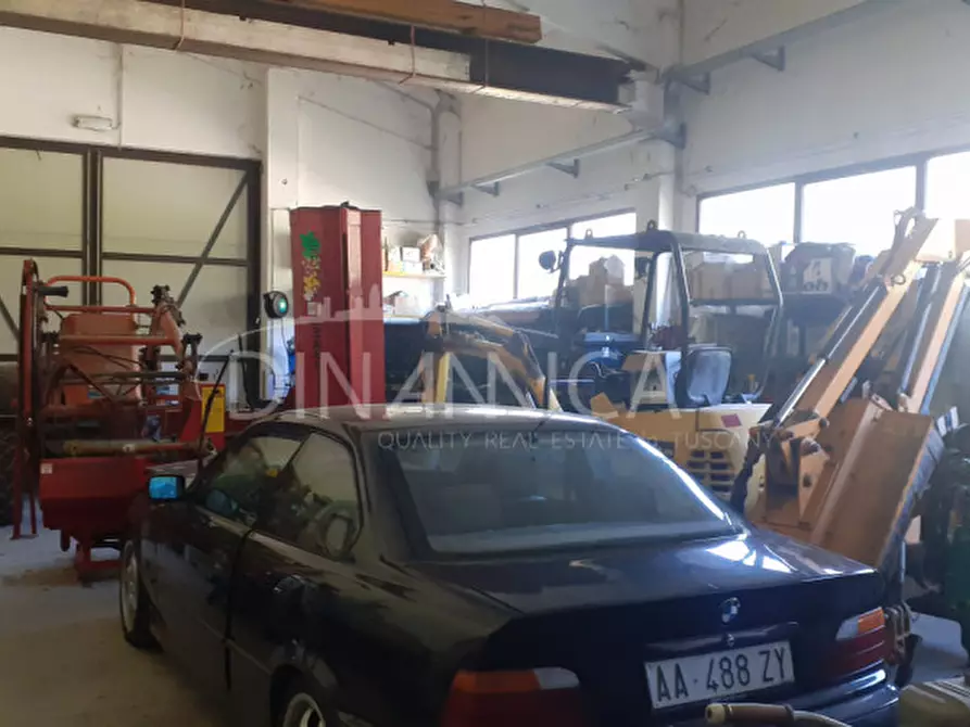 Immagine 48 di Rustico / casale in vendita  a Casciana Terme Lari