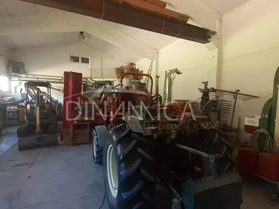 Immagine 51 di Rustico / casale in vendita  a Casciana Terme Lari