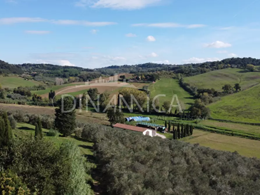 Immagine 52 di Rustico / casale in vendita  a Casciana Terme Lari