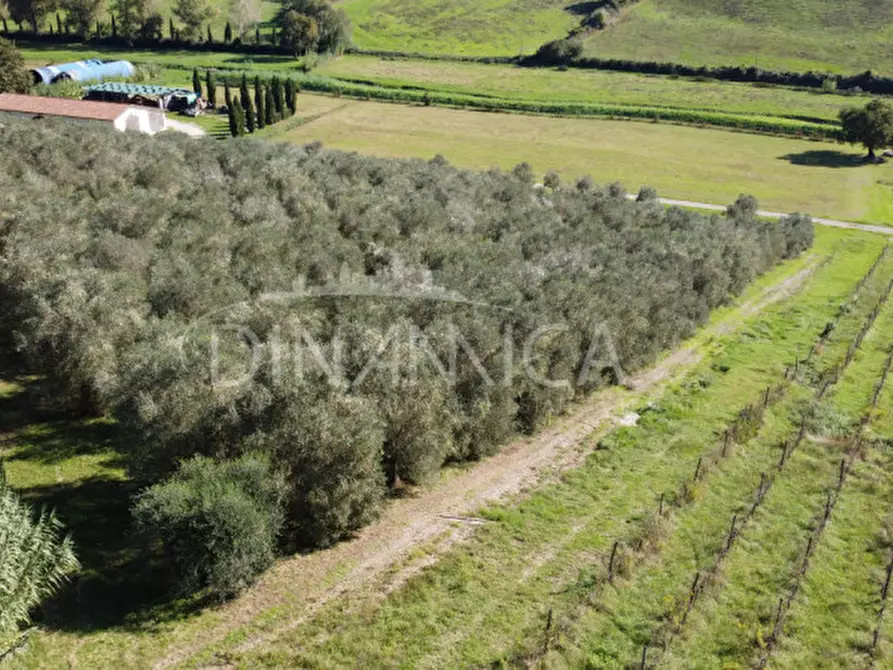 Immagine 53 di Rustico / casale in vendita  a Casciana Terme Lari