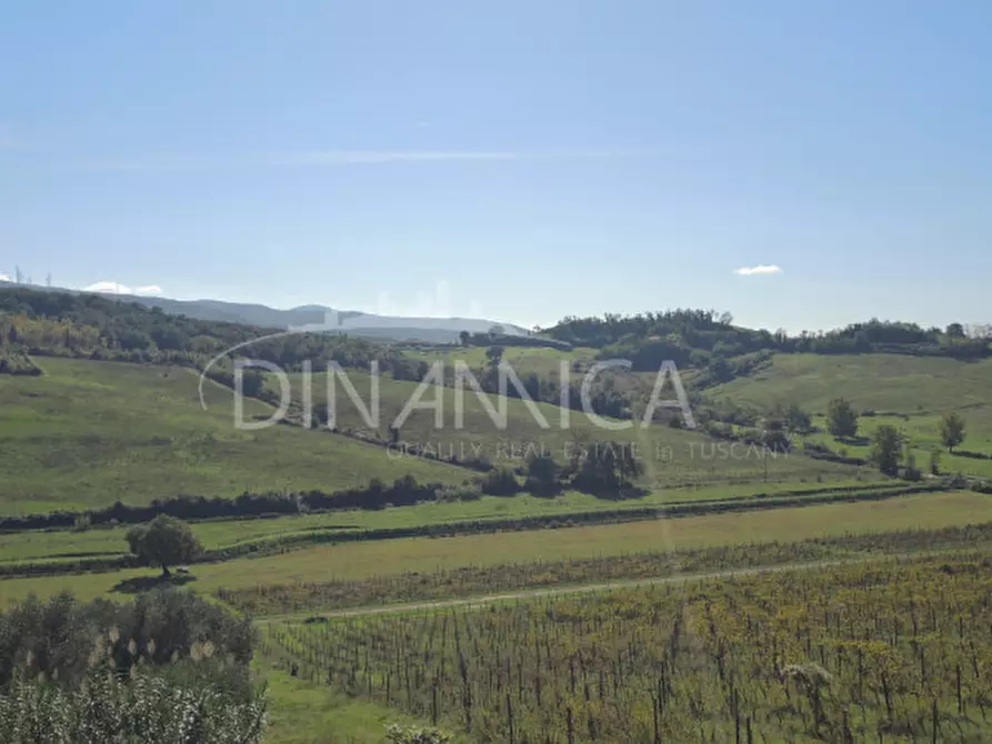 Immagine 56 di Rustico / casale in vendita  a Casciana Terme Lari