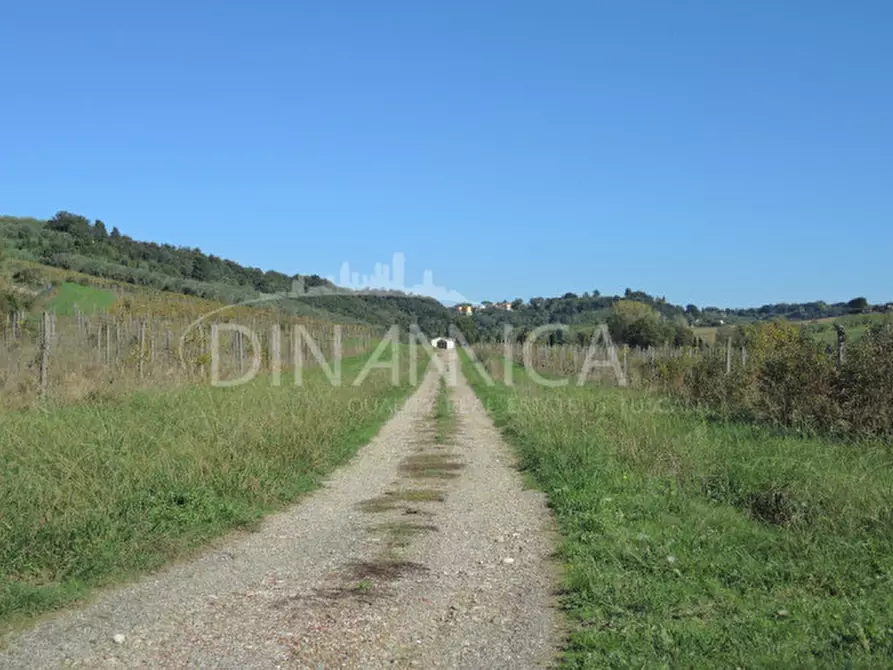 Immagine 58 di Rustico / casale in vendita  a Casciana Terme Lari