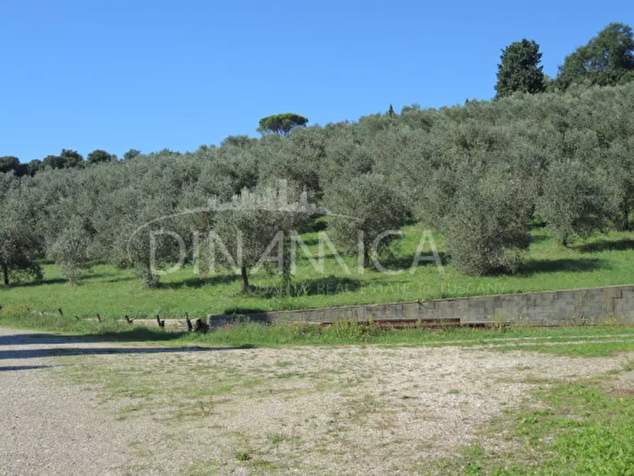 Immagine 59 di Rustico / casale in vendita  a Casciana Terme Lari