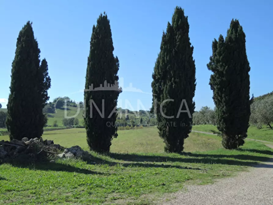 Immagine 60 di Rustico / casale in vendita  a Casciana Terme Lari