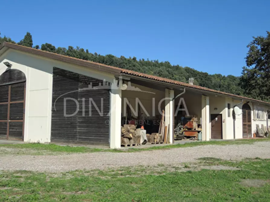 Immagine 61 di Rustico / casale in vendita  a Casciana Terme Lari