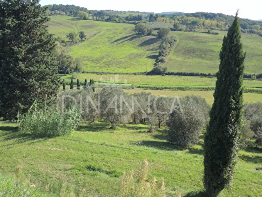 Immagine 63 di Rustico / casale in vendita  a Casciana Terme Lari