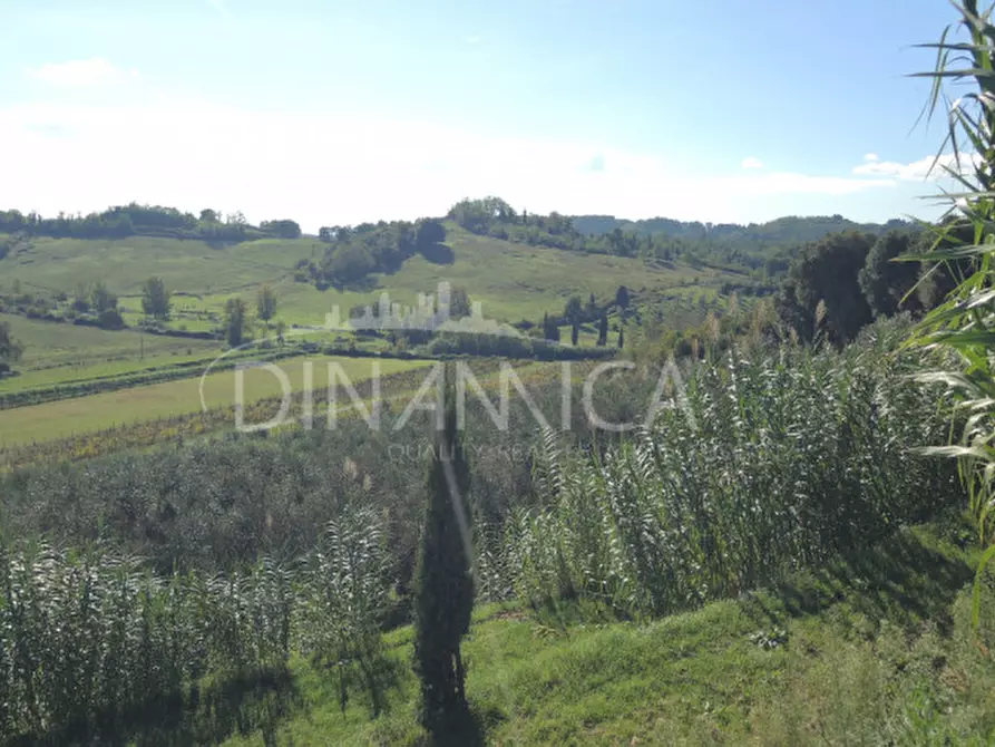 Immagine 64 di Rustico / casale in vendita  a Casciana Terme Lari