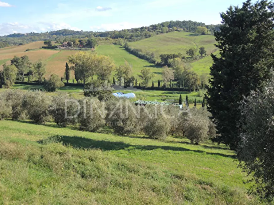 Immagine 65 di Rustico / casale in vendita  a Casciana Terme Lari