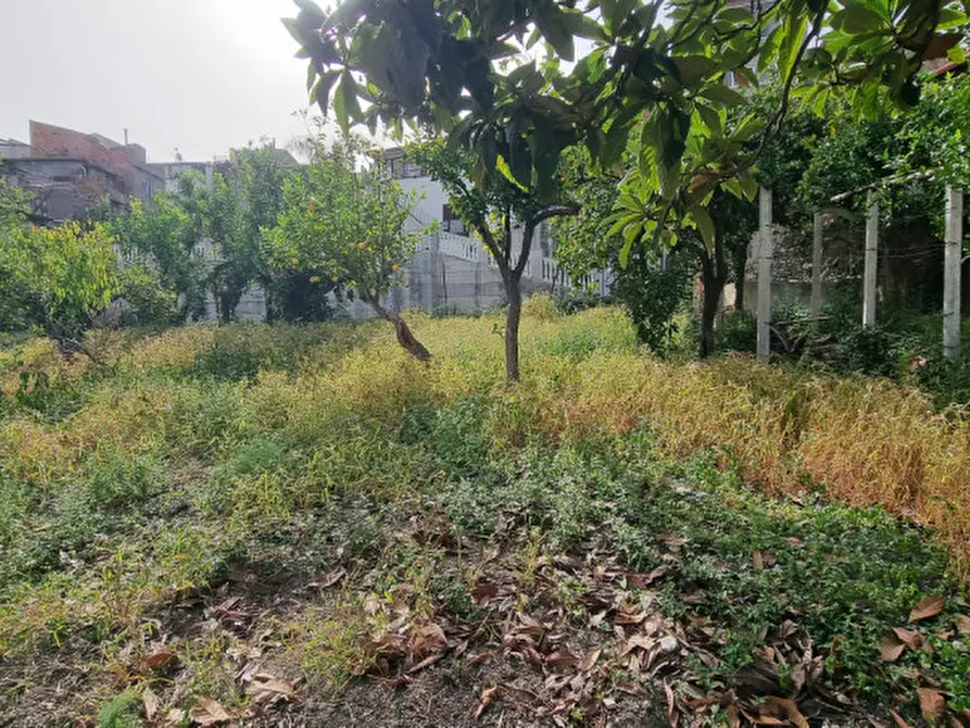 Immagine 10 di Palazzo in vendita  in VIA PALAZZO a Gualtieri Sicaminò