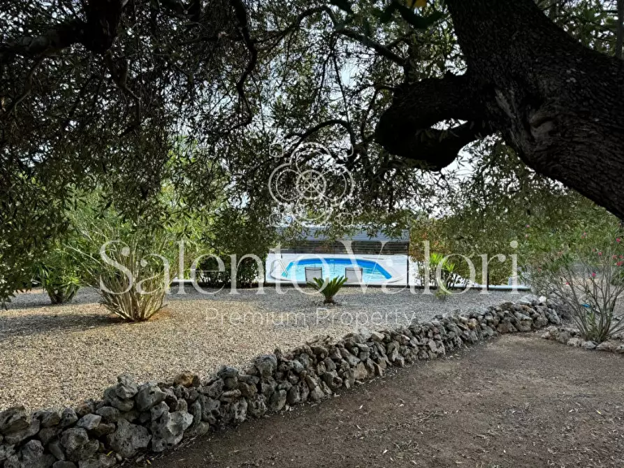 Immagine 45 di Villa in vendita  in Via Degli Ulivi 91 a Grottaglie