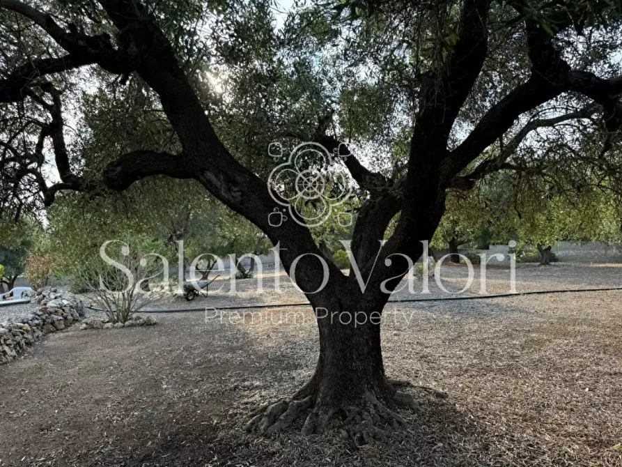 Immagine 52 di Villa in vendita  in Via Degli Ulivi 91 a Grottaglie