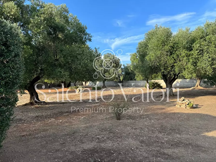 Immagine 54 di Villa in vendita  in Via Degli Ulivi 91 a Grottaglie