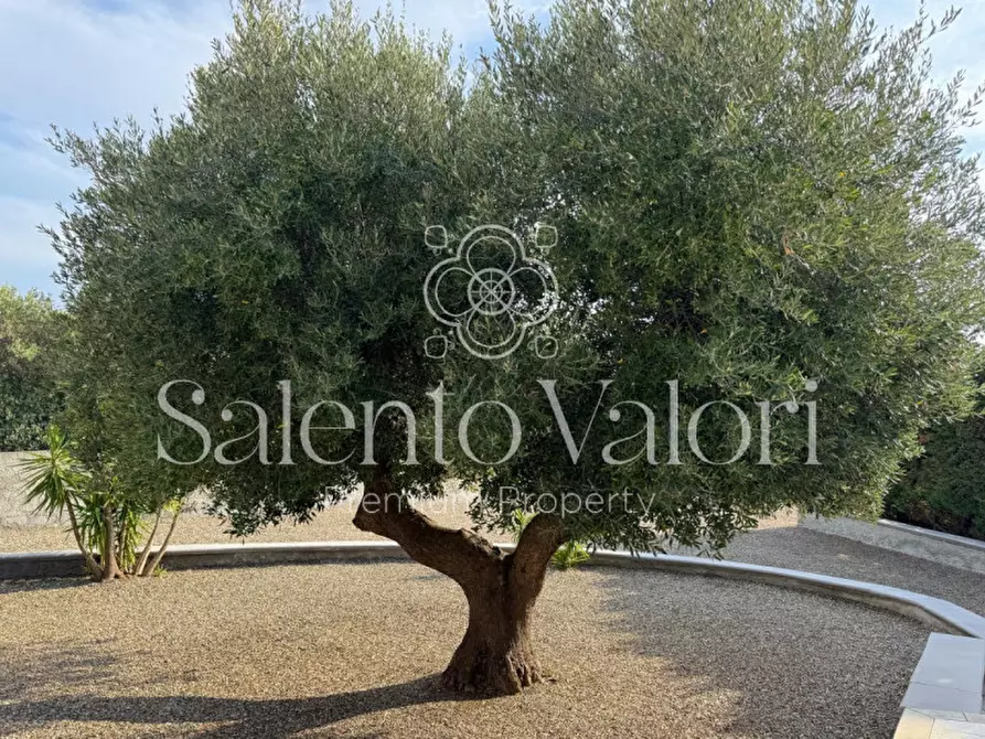 Immagine 64 di Villa in vendita  in Via Degli Ulivi 91 a Grottaglie