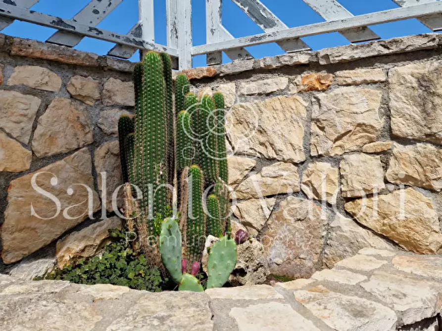 Immagine 13 di Casa indipendente in vendita  in Via Fabio Filzi 139 a Matino