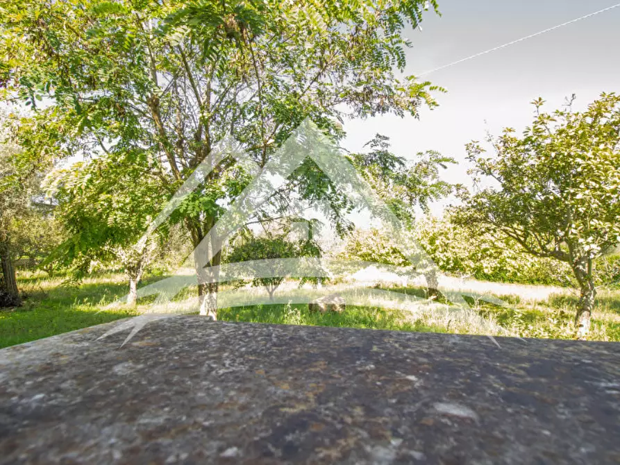 Immagine 4 di Terreno in vendita  in Via Regione San Quirico, 203 a Sassari