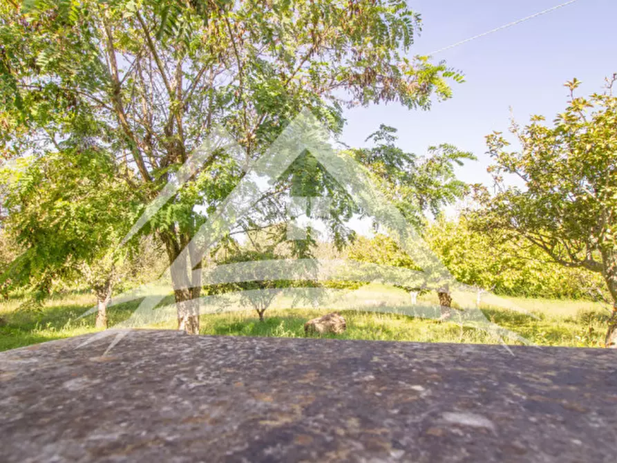 Immagine 5 di Terreno in vendita  in Via Regione San Quirico, 203 a Sassari