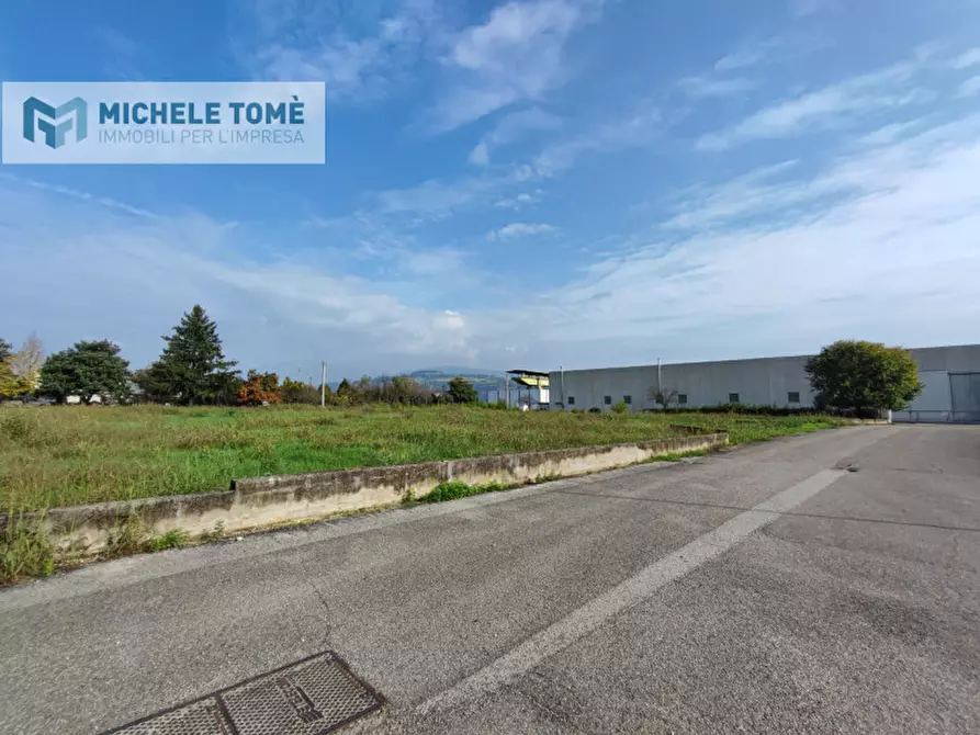 Immagine 4 di Terreno in vendita  in via belgio a Sant'ambrogio Di Valpolicella