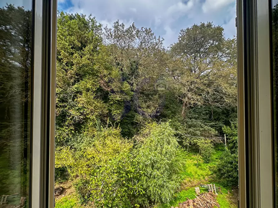 Immagine 14 di Appartamento in vendita  in Castelluccio a Capolona