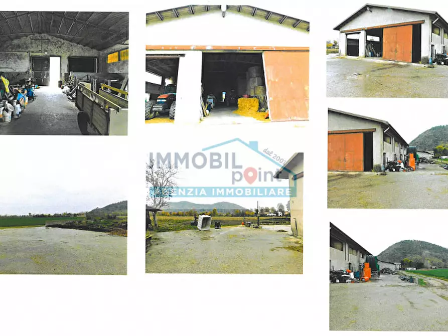 Immagine 5 di Terreno in vendita  in via rialto a Teolo