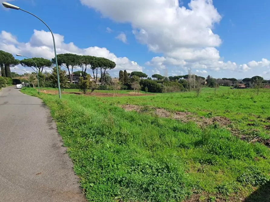 Immagine 3 di Appartamento in vendita  in Viale San Teodoro, Loc Librino, N. 11 a Catania