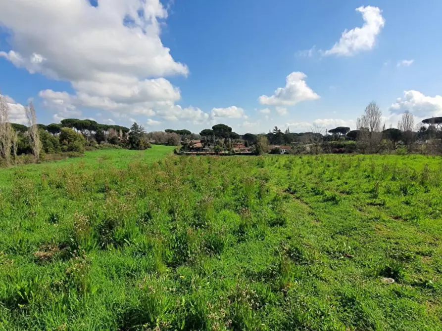 Immagine 6 di Appartamento in vendita  in Viale San Teodoro, Loc Librino, N. 11 a Catania