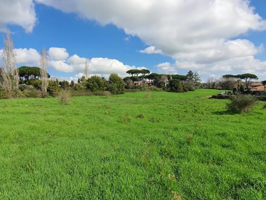 Immagine 7 di Appartamento in vendita  in Viale San Teodoro, Loc Librino, N. 11 a Catania