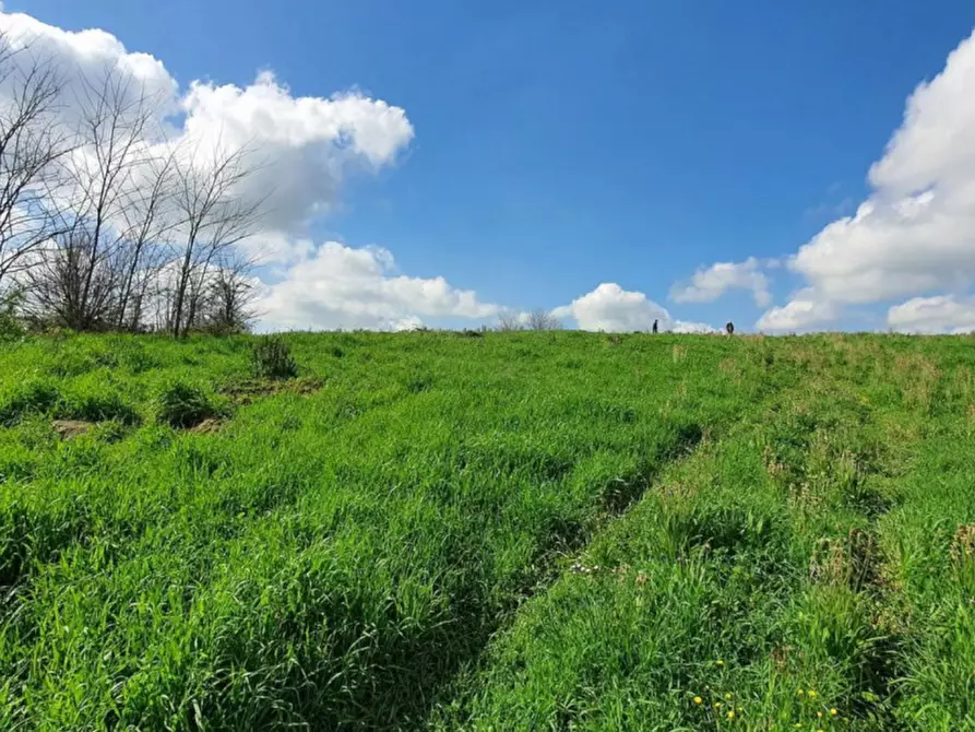 Immagine 8 di Appartamento in vendita  in Viale San Teodoro, Loc Librino, N. 11 a Catania