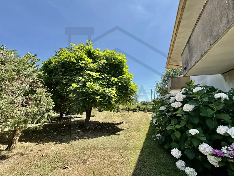 Immagine 21 di Casa indipendente in vendita  in Via Romana a Abano Terme