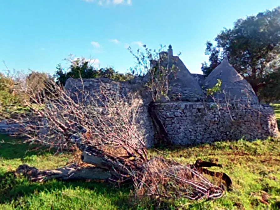 Immagine 3 di Rustico / casale in vendita  a Ostuni