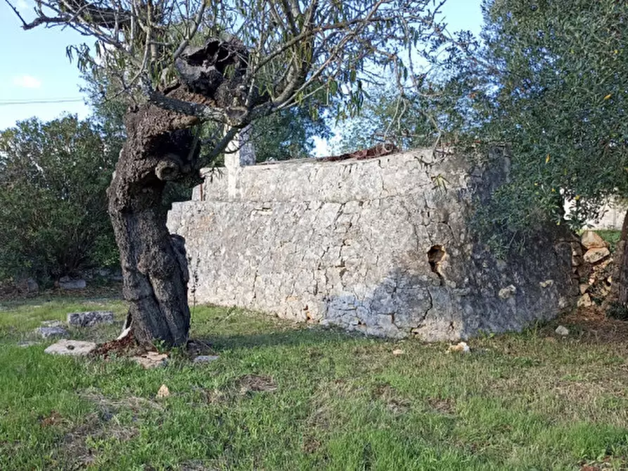 Immagine 4 di Rustico / casale in vendita  a Ostuni