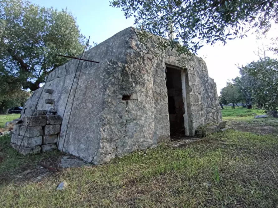 Immagine 7 di Rustico / casale in vendita  a Ostuni