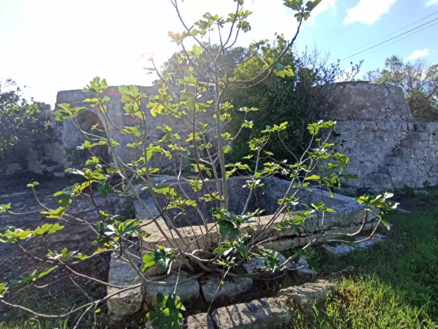 Immagine 10 di Rustico / casale in vendita  a Ostuni