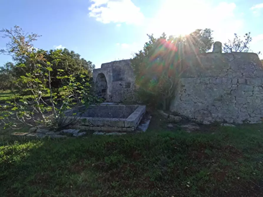 Immagine 11 di Rustico / casale in vendita  a Ostuni