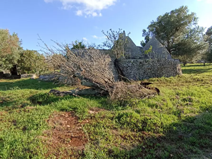 Immagine 12 di Rustico / casale in vendita  a Ostuni