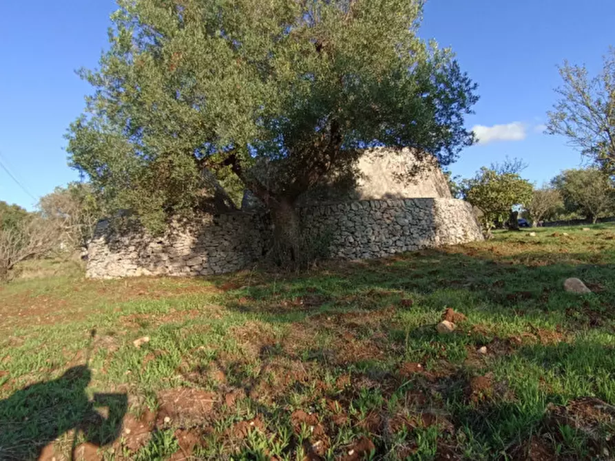 Immagine 13 di Rustico / casale in vendita  a Ostuni