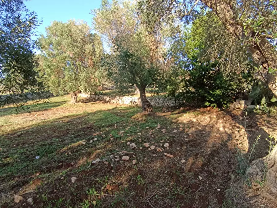 Immagine 15 di Rustico / casale in vendita  a Ostuni