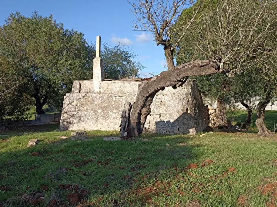 Immagine 16 di Rustico / casale in vendita  a Ostuni