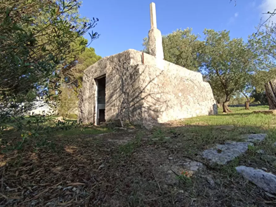Immagine 18 di Rustico / casale in vendita  a Ostuni