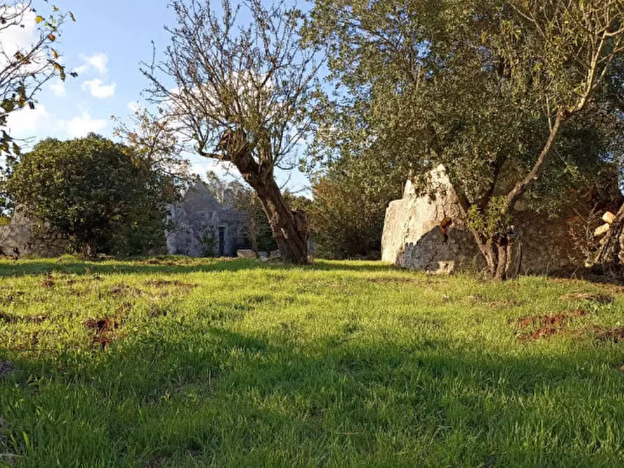 Immagine 19 di Rustico / casale in vendita  a Ostuni