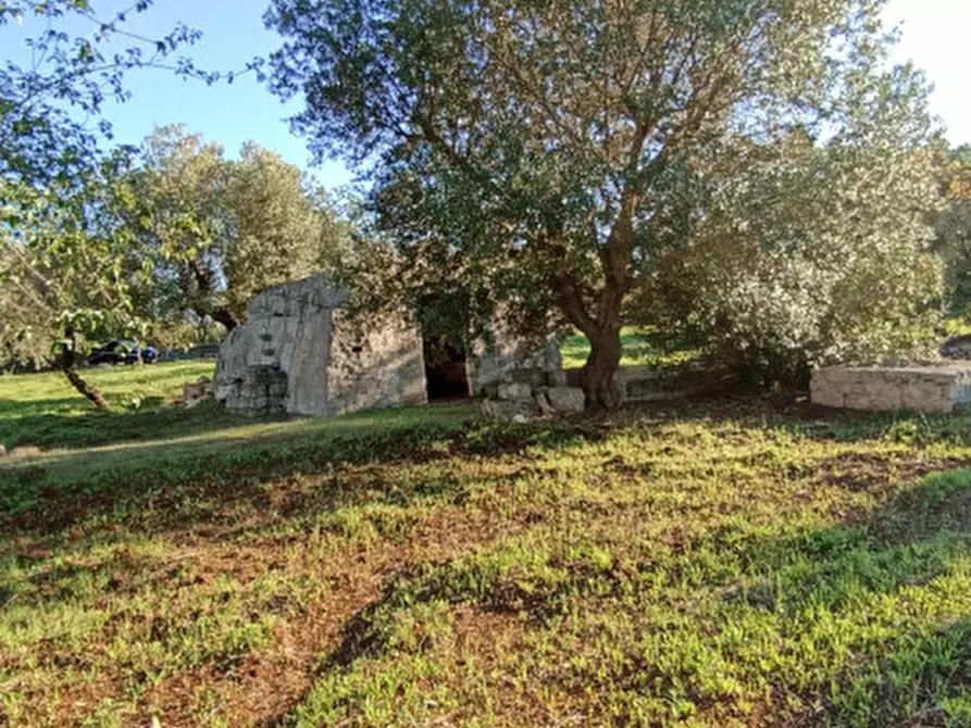 Immagine 20 di Rustico / casale in vendita  a Ostuni