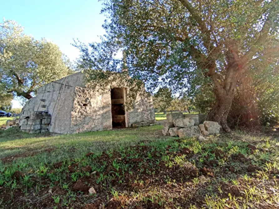 Immagine 21 di Rustico / casale in vendita  a Ostuni