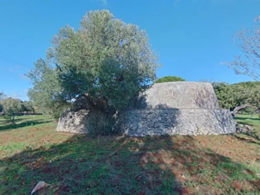 Immagine 41 di Rustico / casale in vendita  a Ostuni