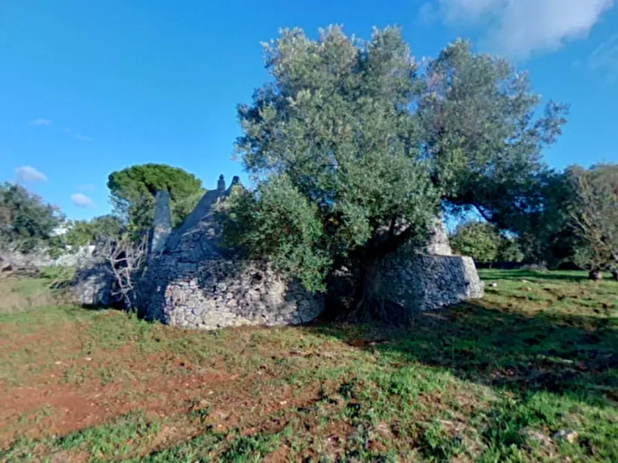 Immagine 43 di Rustico / casale in vendita  a Ostuni