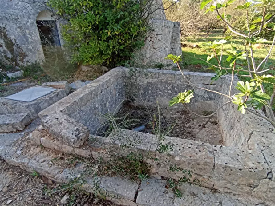 Immagine 44 di Rustico / casale in vendita  a Ostuni