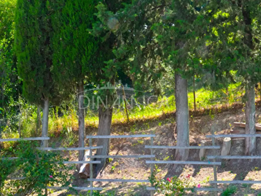 Immagine 7 di Villa in vendita  a Pomarance